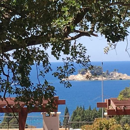 Villa Julia Petrovac Εξωτερικό φωτογραφία