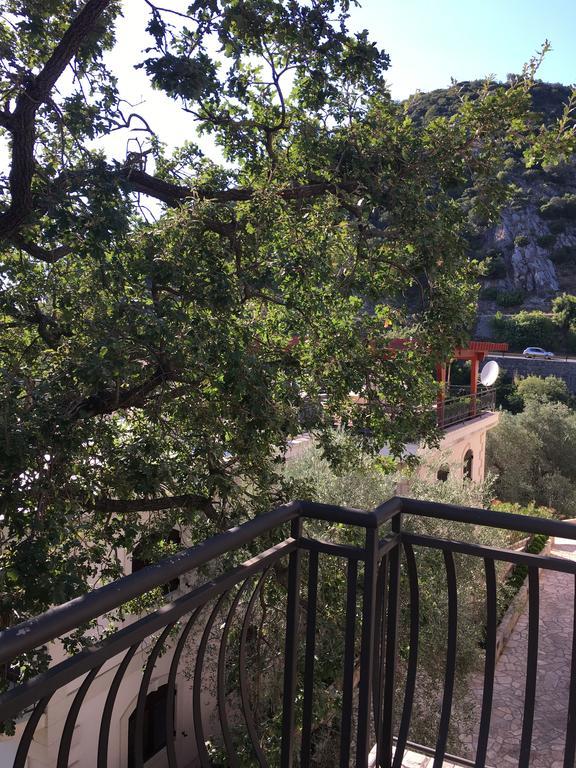 Villa Julia Petrovac Εξωτερικό φωτογραφία