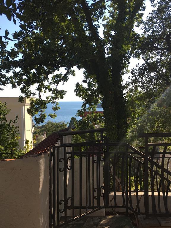 Villa Julia Petrovac Εξωτερικό φωτογραφία