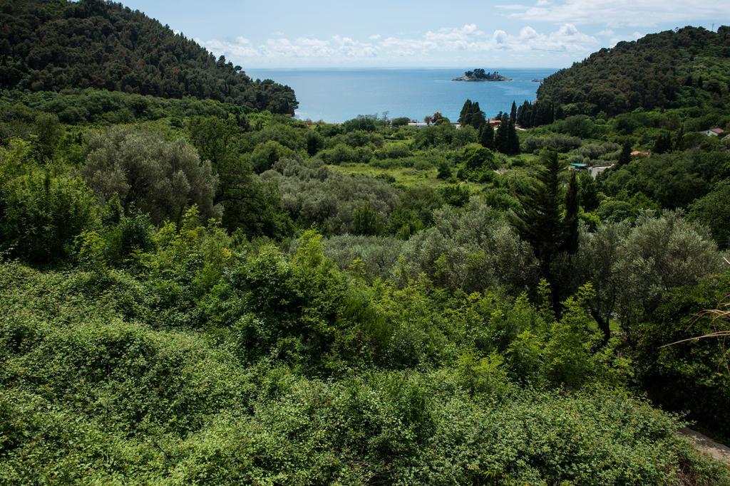 Villa Julia Petrovac Εξωτερικό φωτογραφία