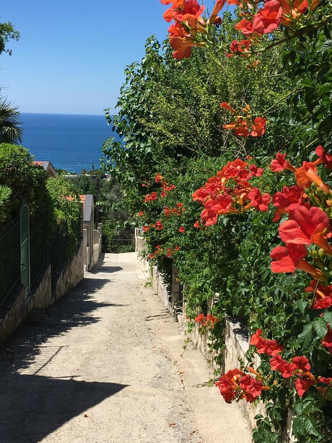 Villa Julia Petrovac Εξωτερικό φωτογραφία