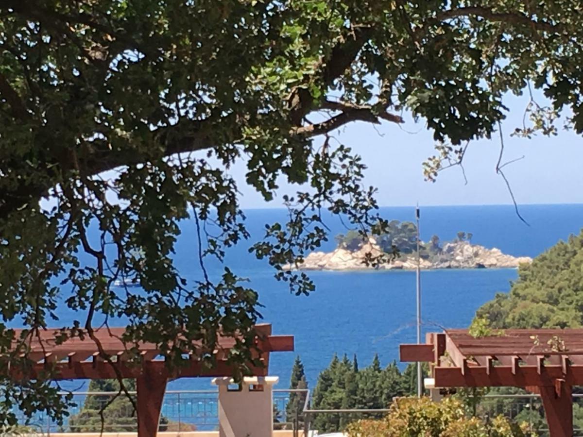 Villa Julia Petrovac Εξωτερικό φωτογραφία