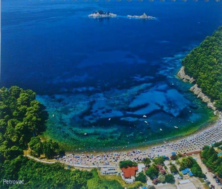 Villa Julia Petrovac Εξωτερικό φωτογραφία